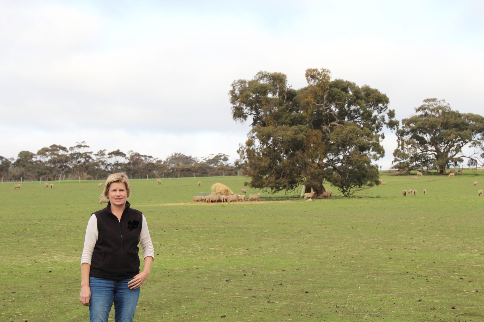Livestock farmers strategise amidst tough season