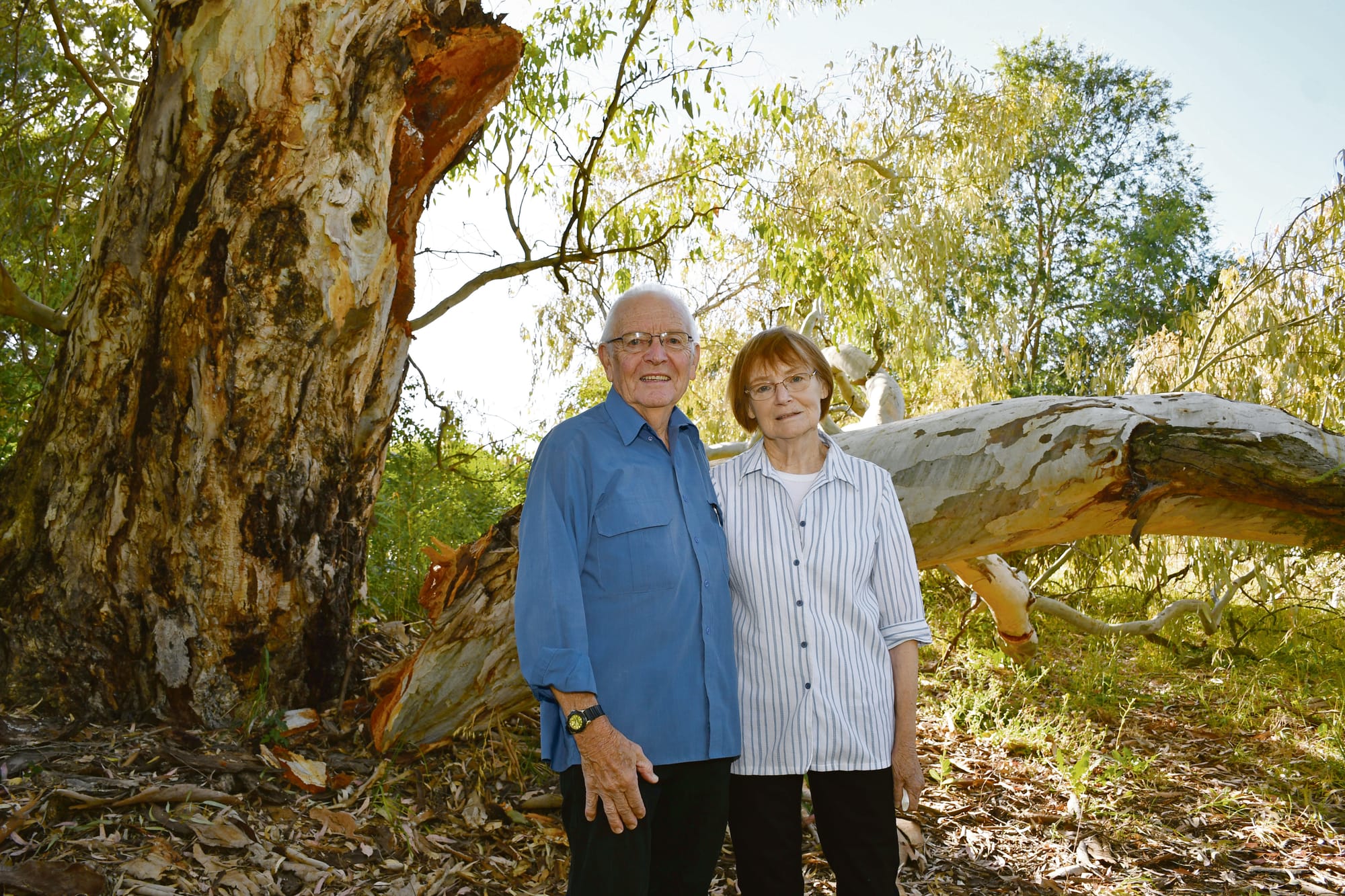 Fallen branch at Angaston prompts timely reminder