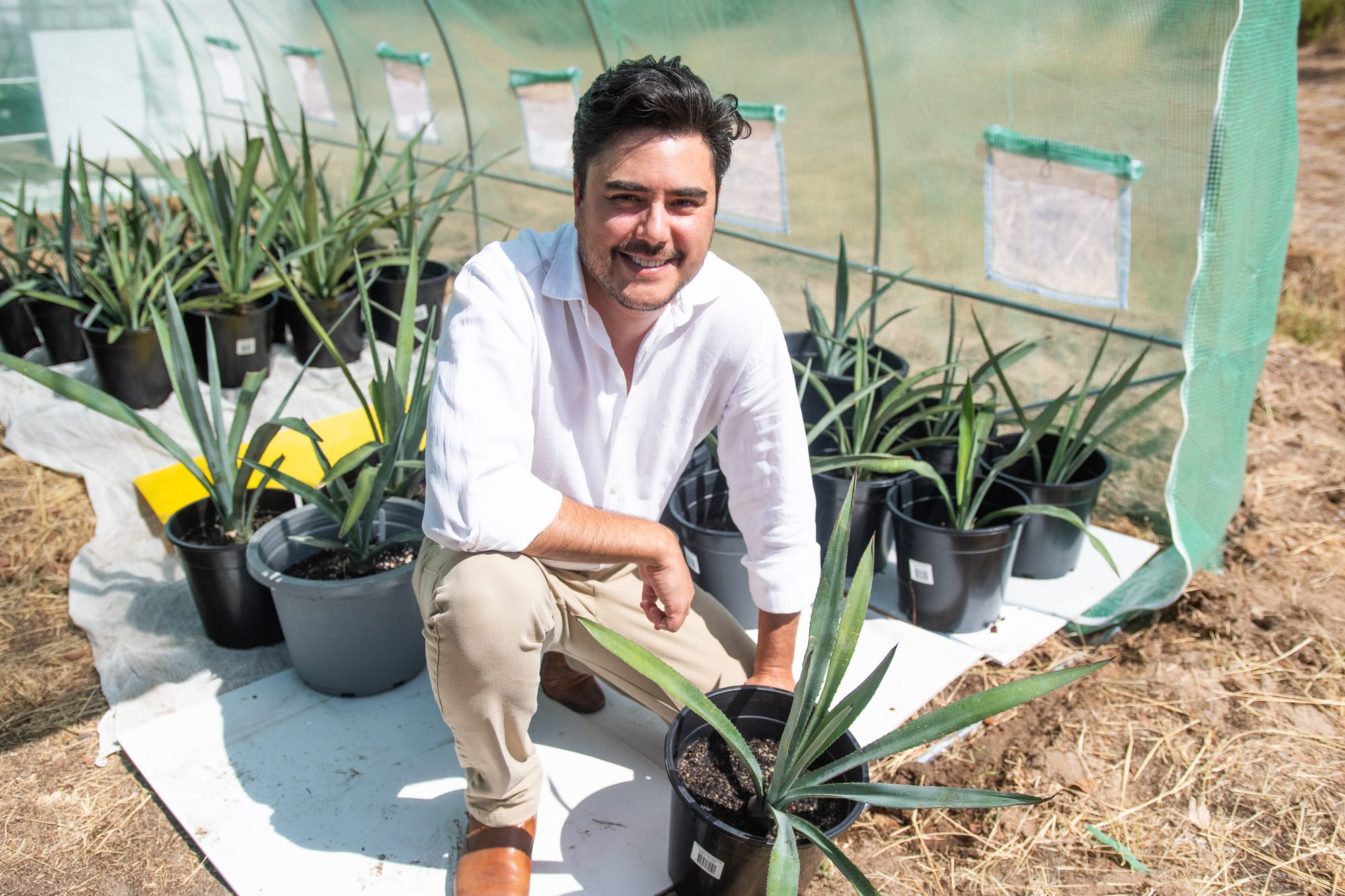 Vines, Wines and Tequila?