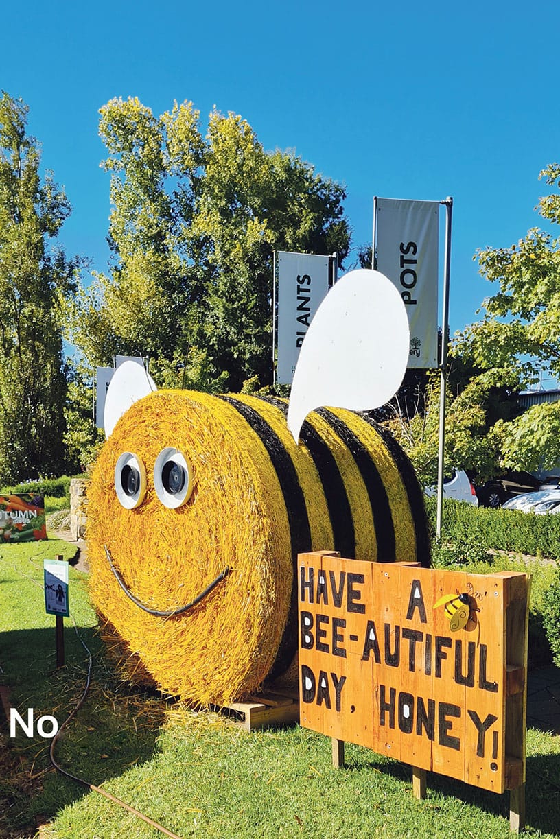 Bee-autiful