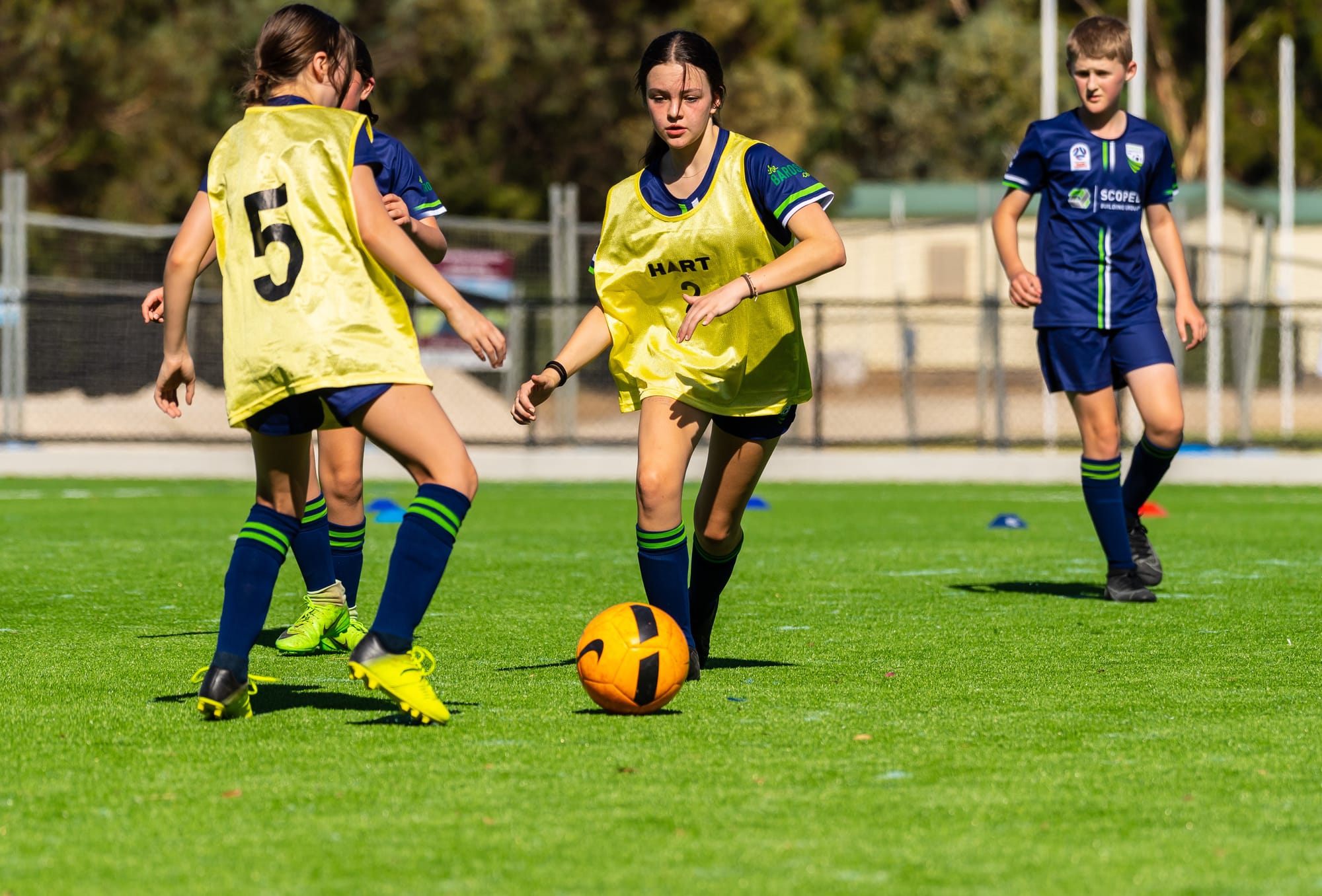 Matildas success set to inspire junior growth