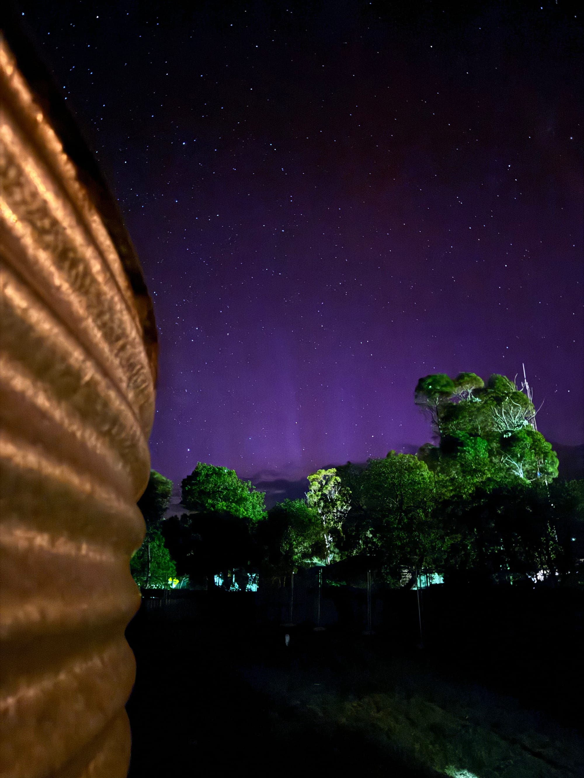 Nature's light show rings in new year