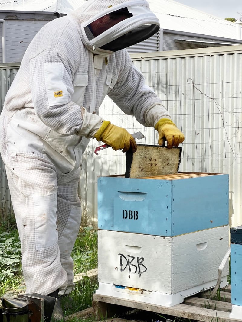 Dan’s bee-n keeping buzzy