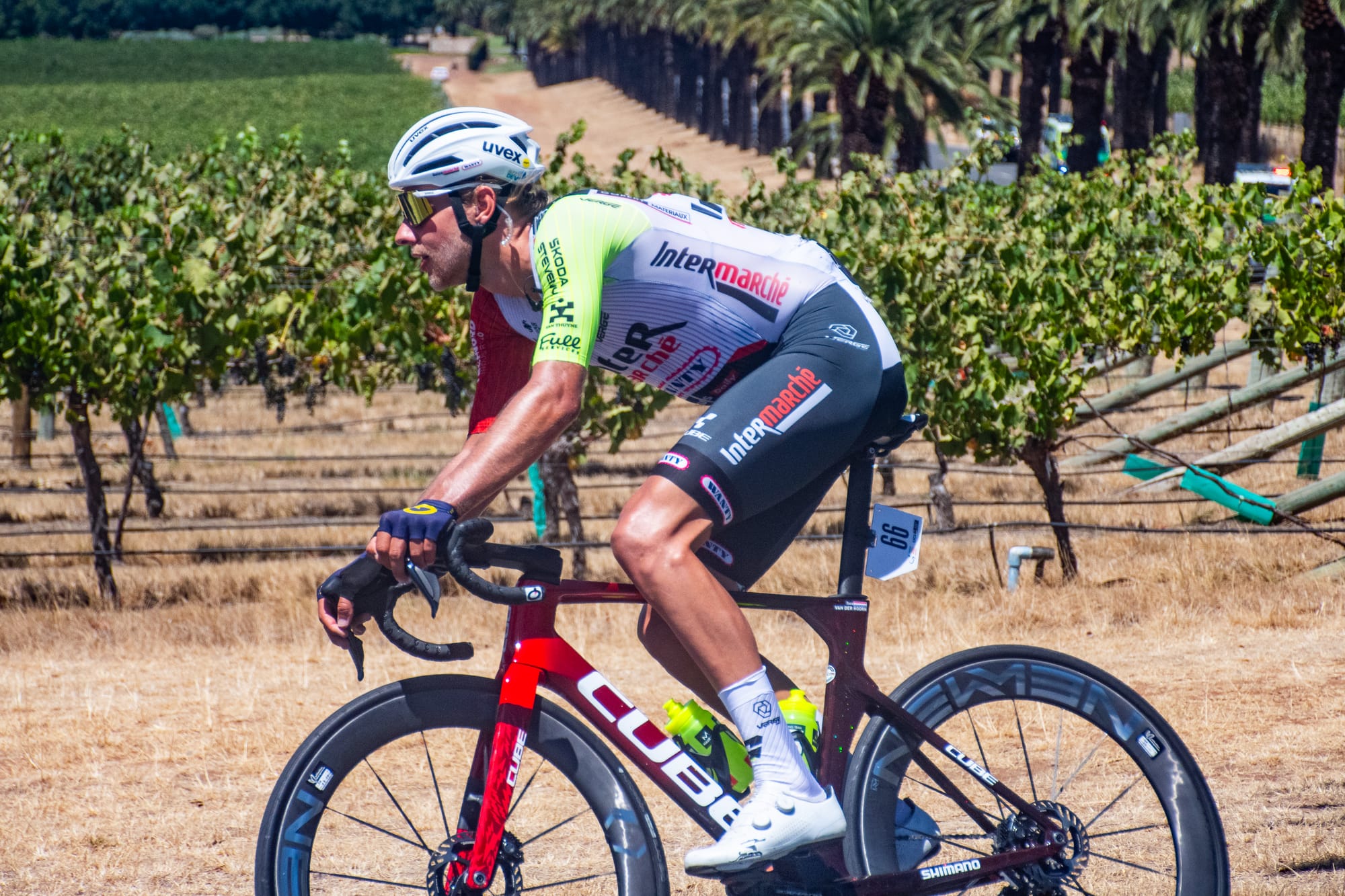 Record success for Santos Tour Down Under