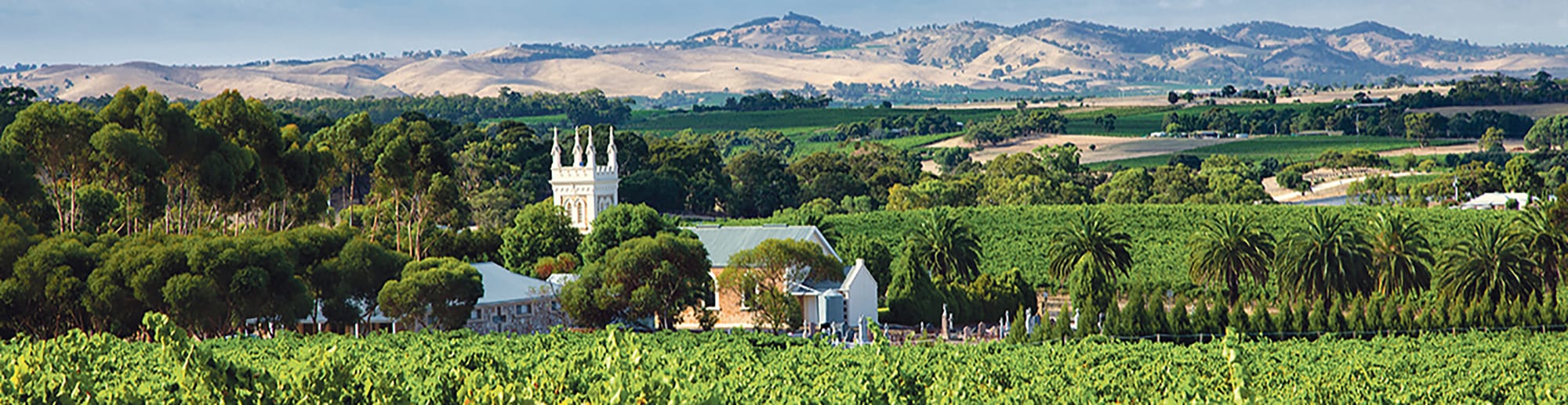 Marananga Wine Show public tasting returns