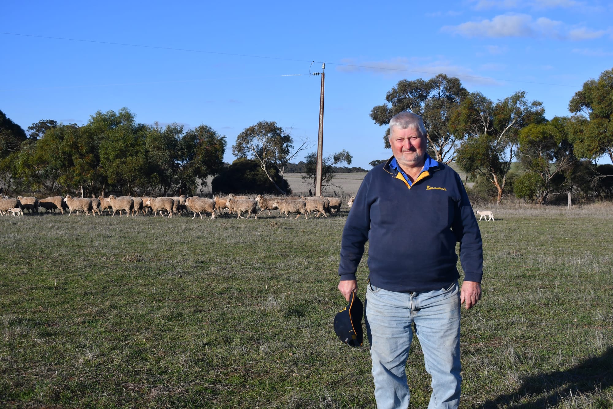 Do ewe know where the sheep are?