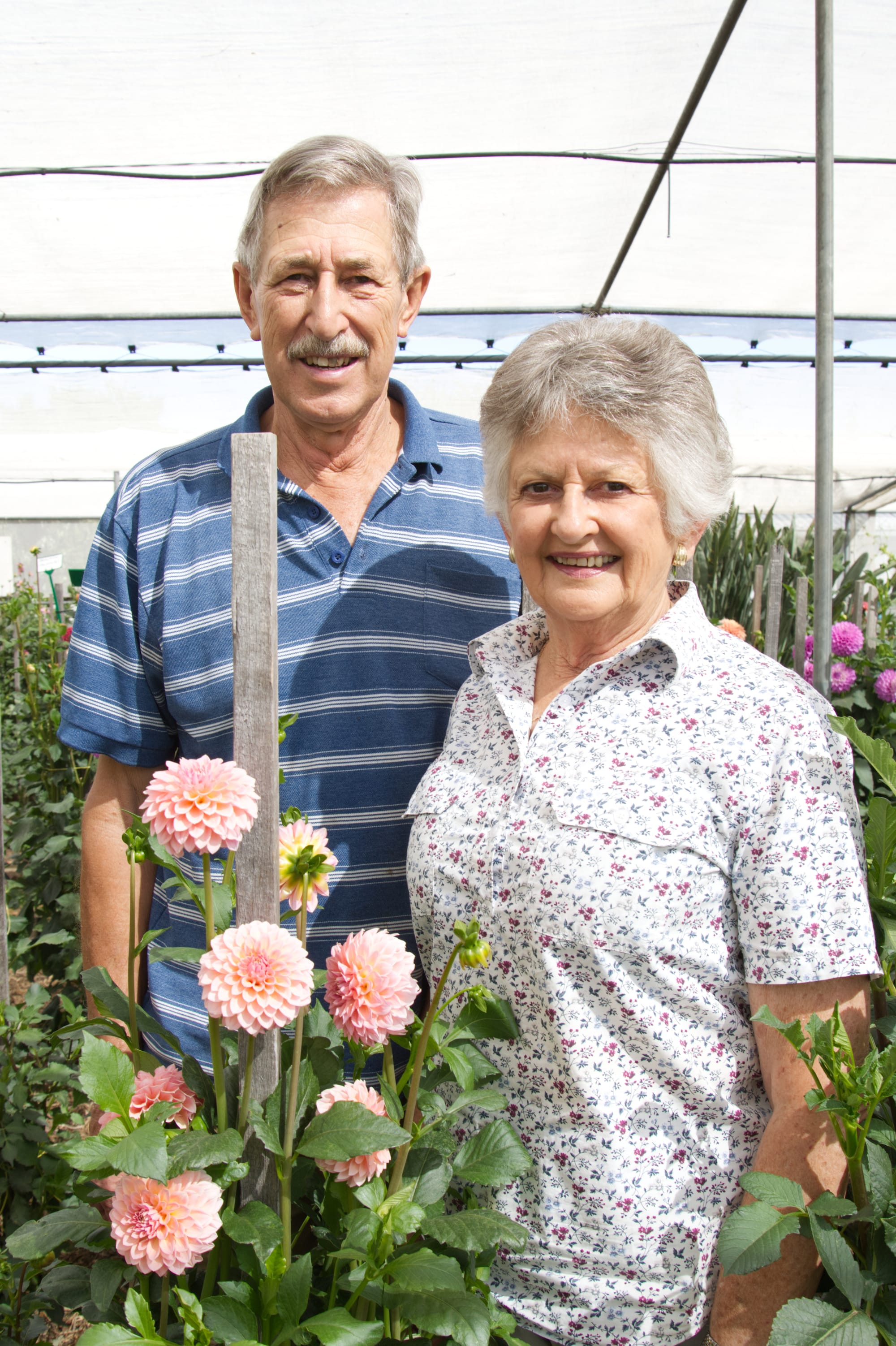 Tanunda Show: Beautiful blooms on show