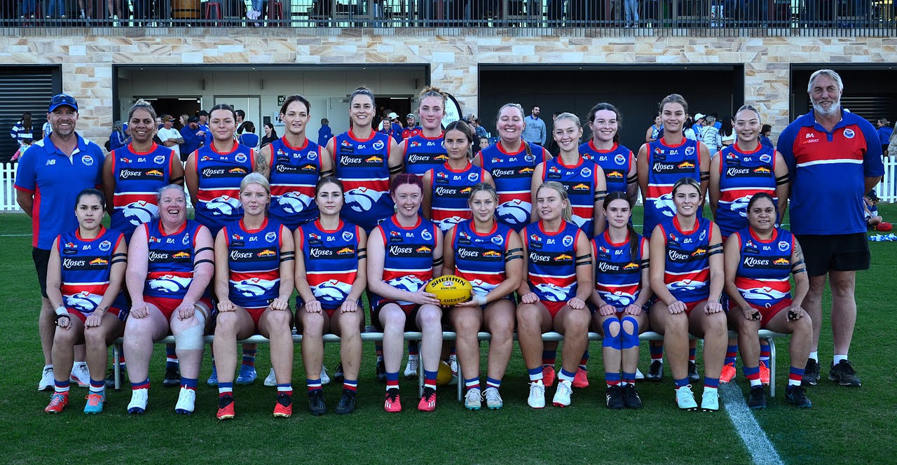 Dogs and Donnybrooks ready to do battle