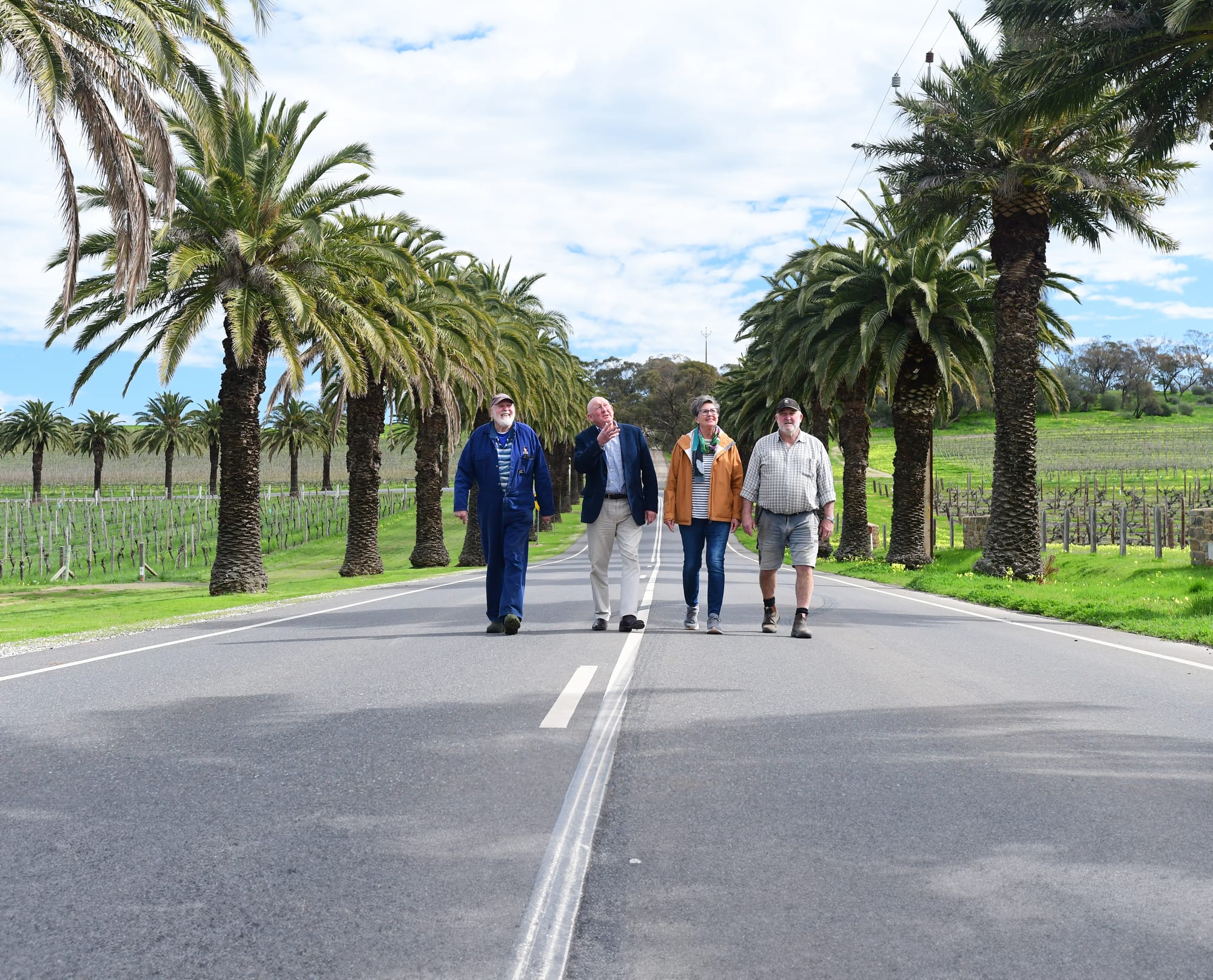 Palm Read: Council to investigate management of 56 Seppeltsfield Road palms