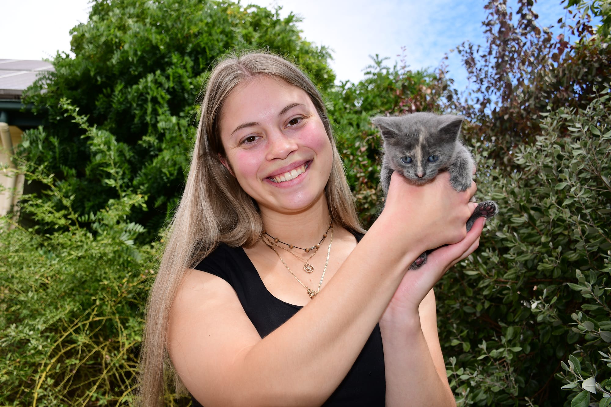 Hope for dumped kittens