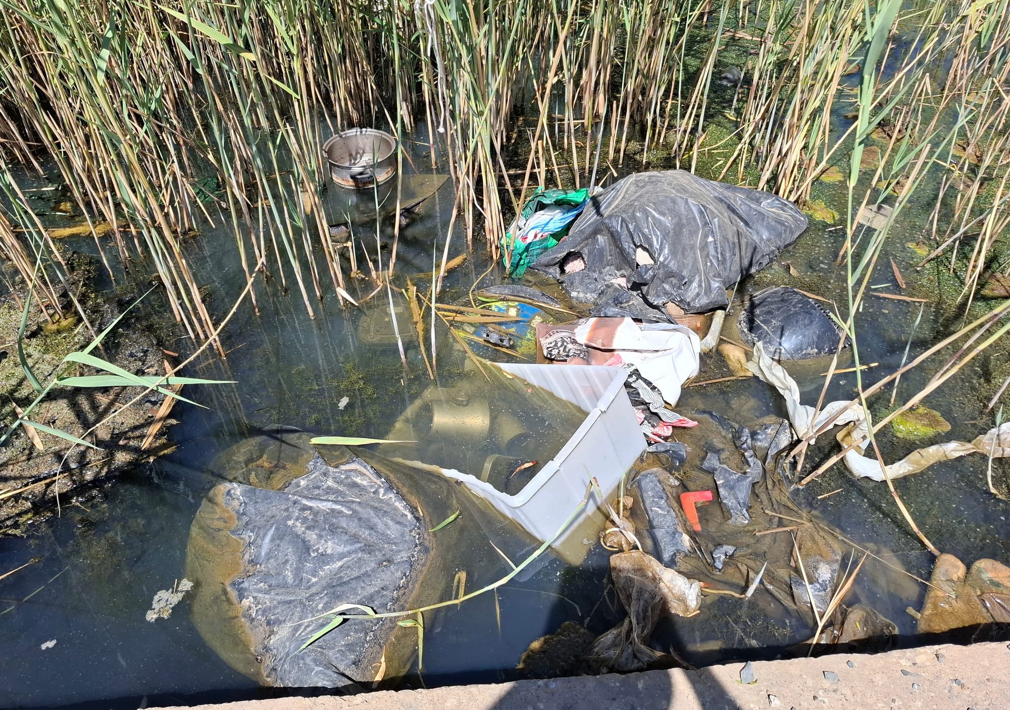 Concerns over impact of illegal dumping