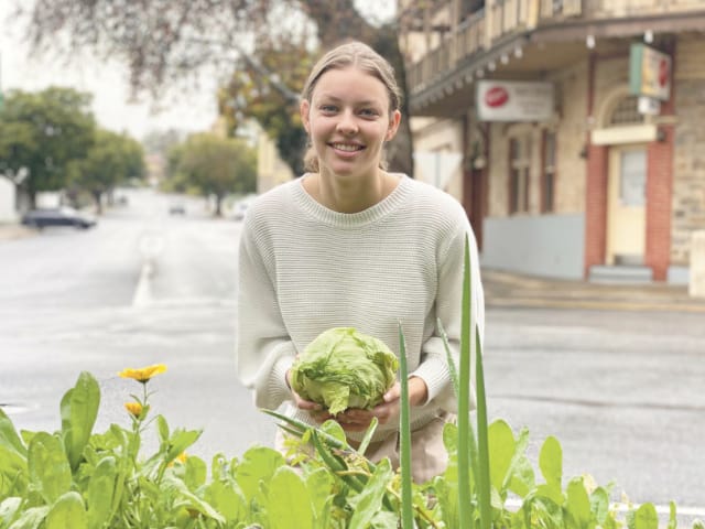 Barossa consumers hit an Iceberg