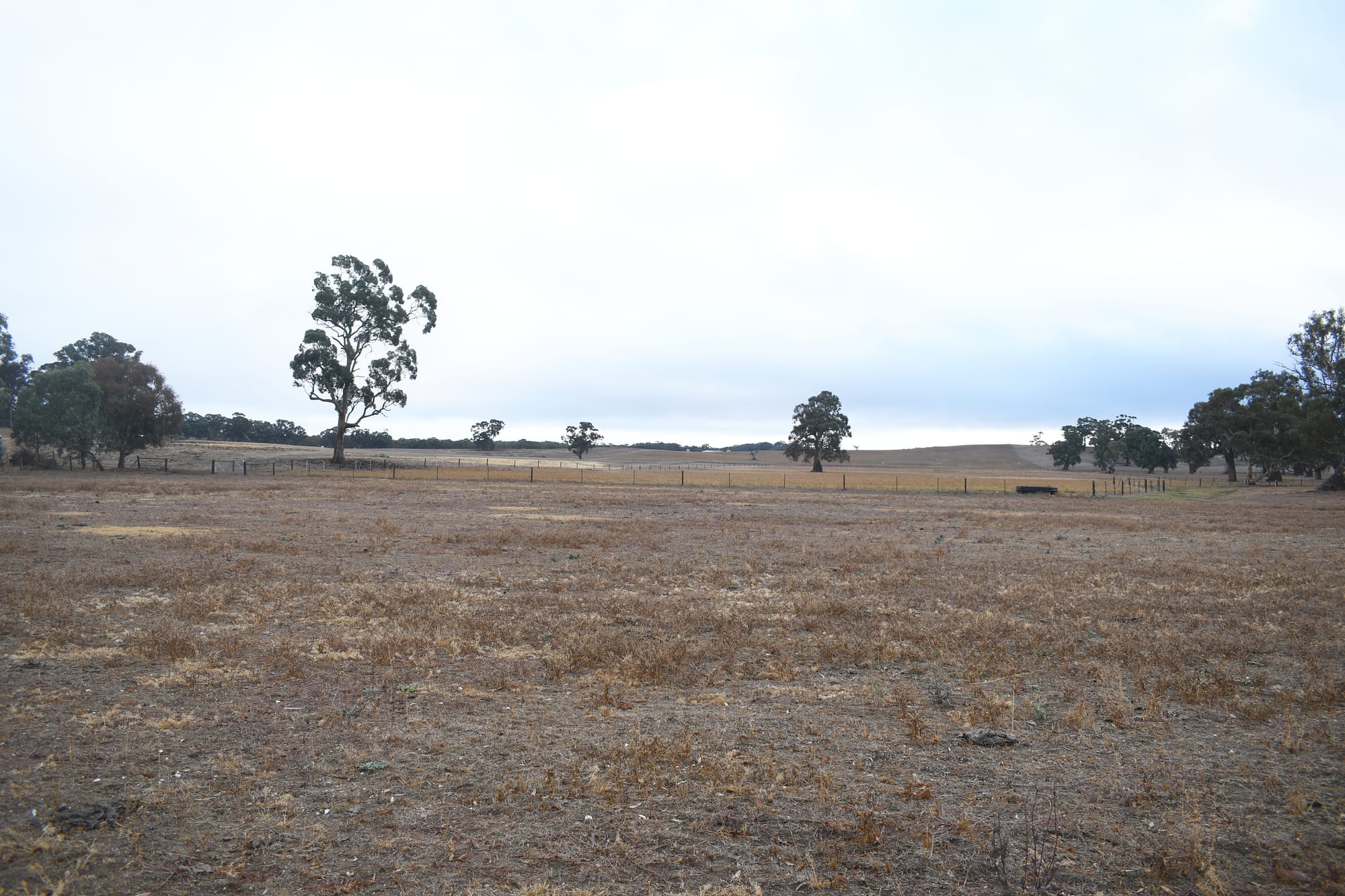 Housing boom for Keyneton considered as DA lodged