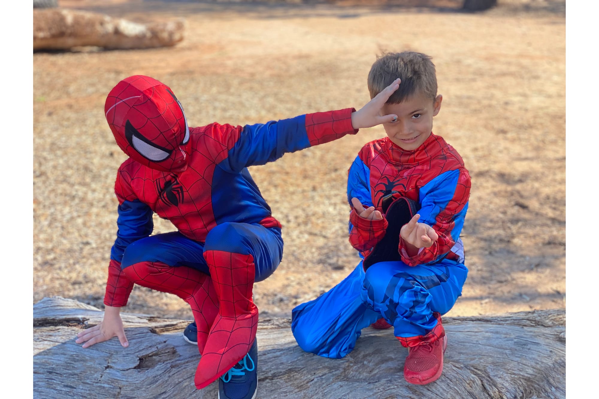 BOOK WEEK: Greenock and Cambrai Primary Schools