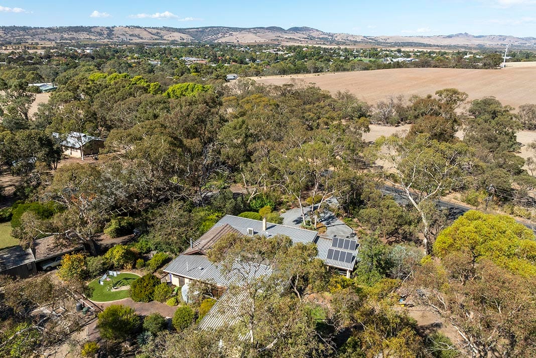 Semi-rural serenity just minutes from Tanunda