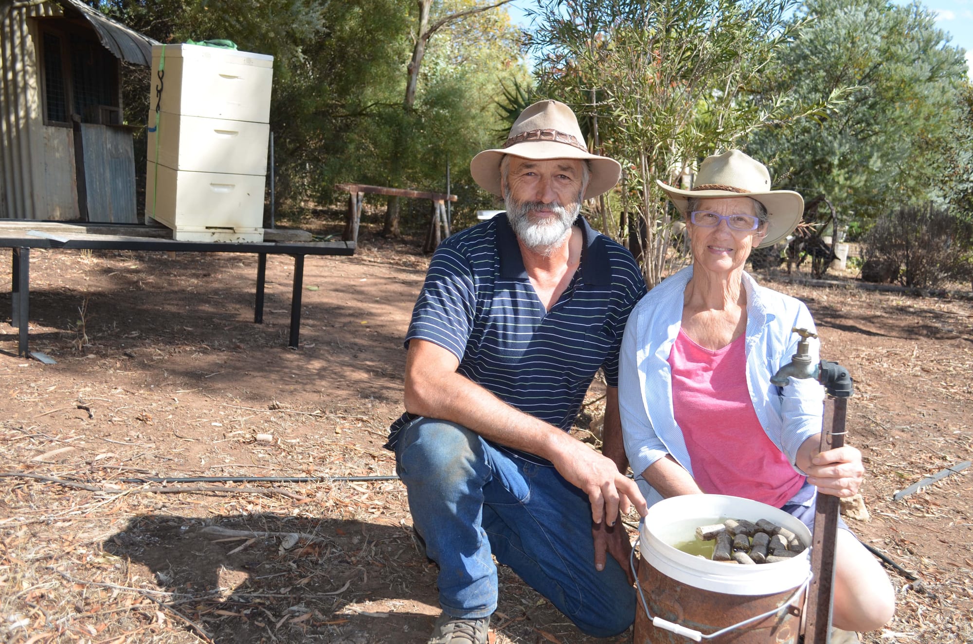 Challenging times for bees