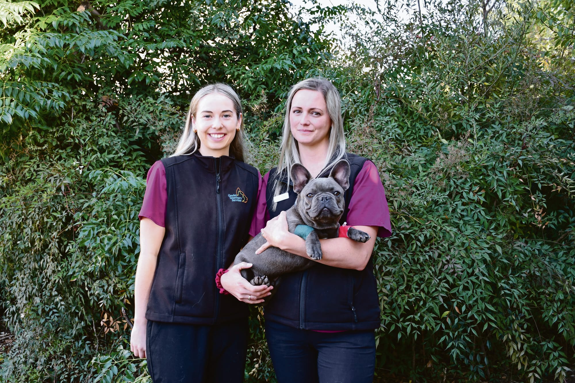The unsung heroes of the veterinary world