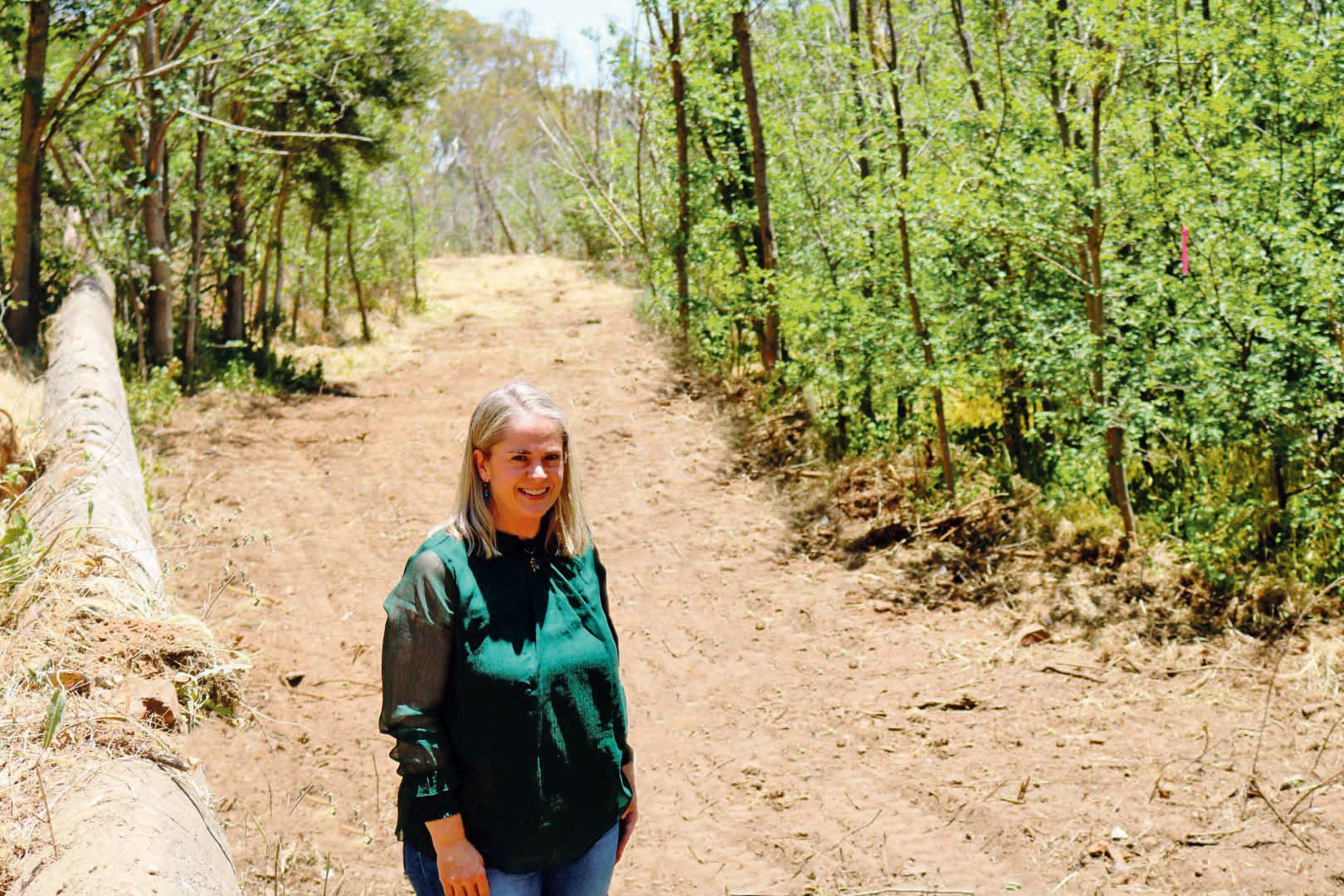 Nominate in Council elections