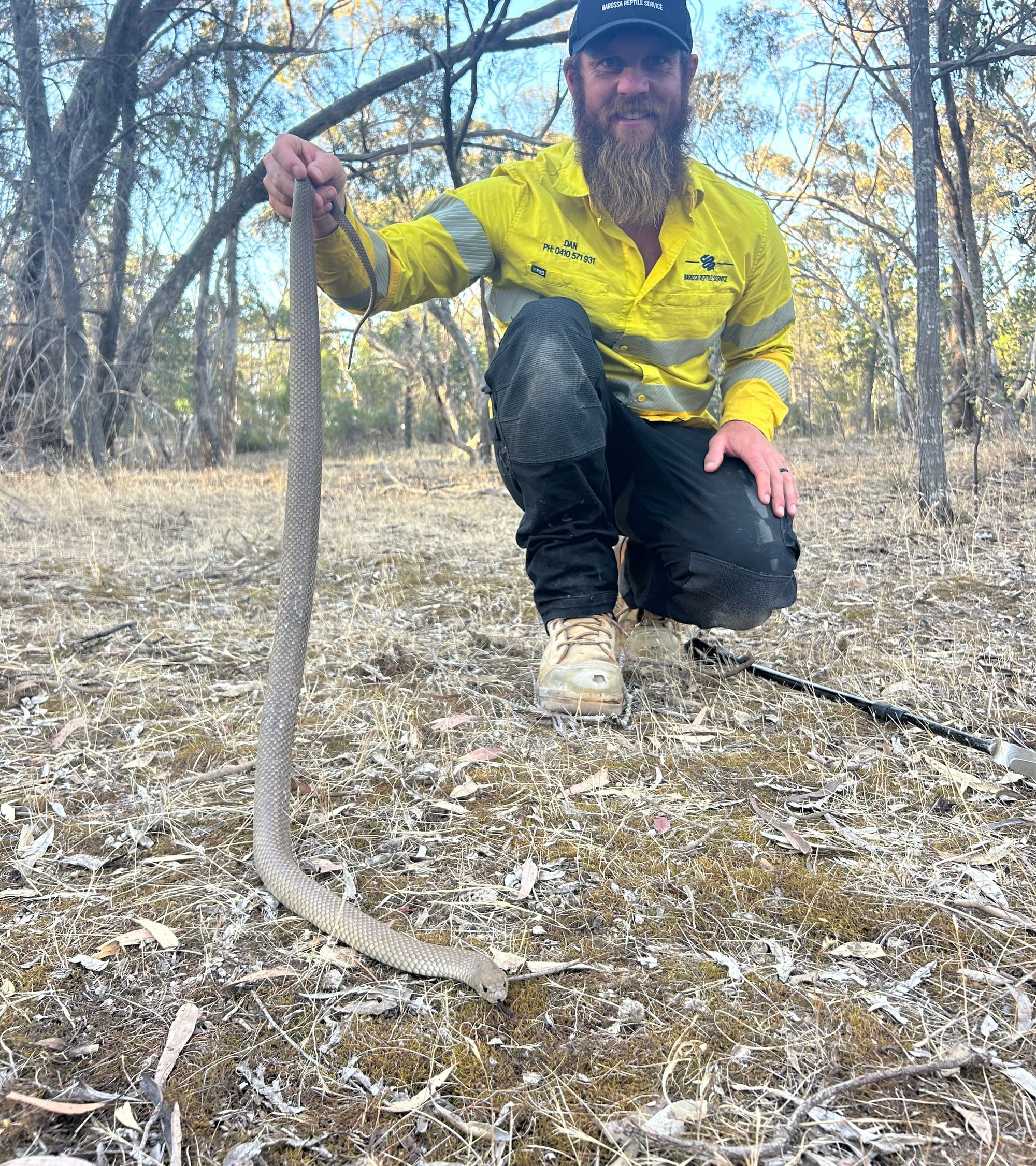 Safety warning as snake season sneaks closer