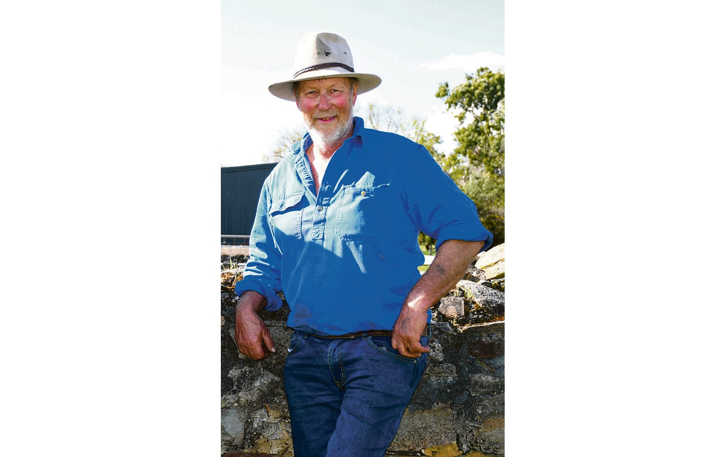 Leadership changes to the sheep and cattle industry funds