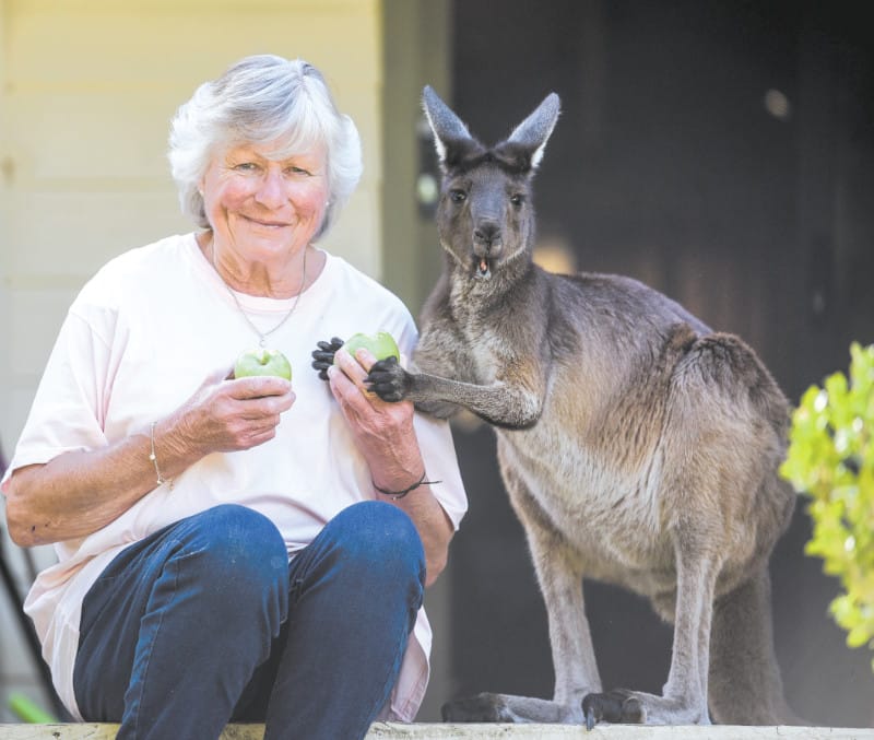 Running out of Kanga-room