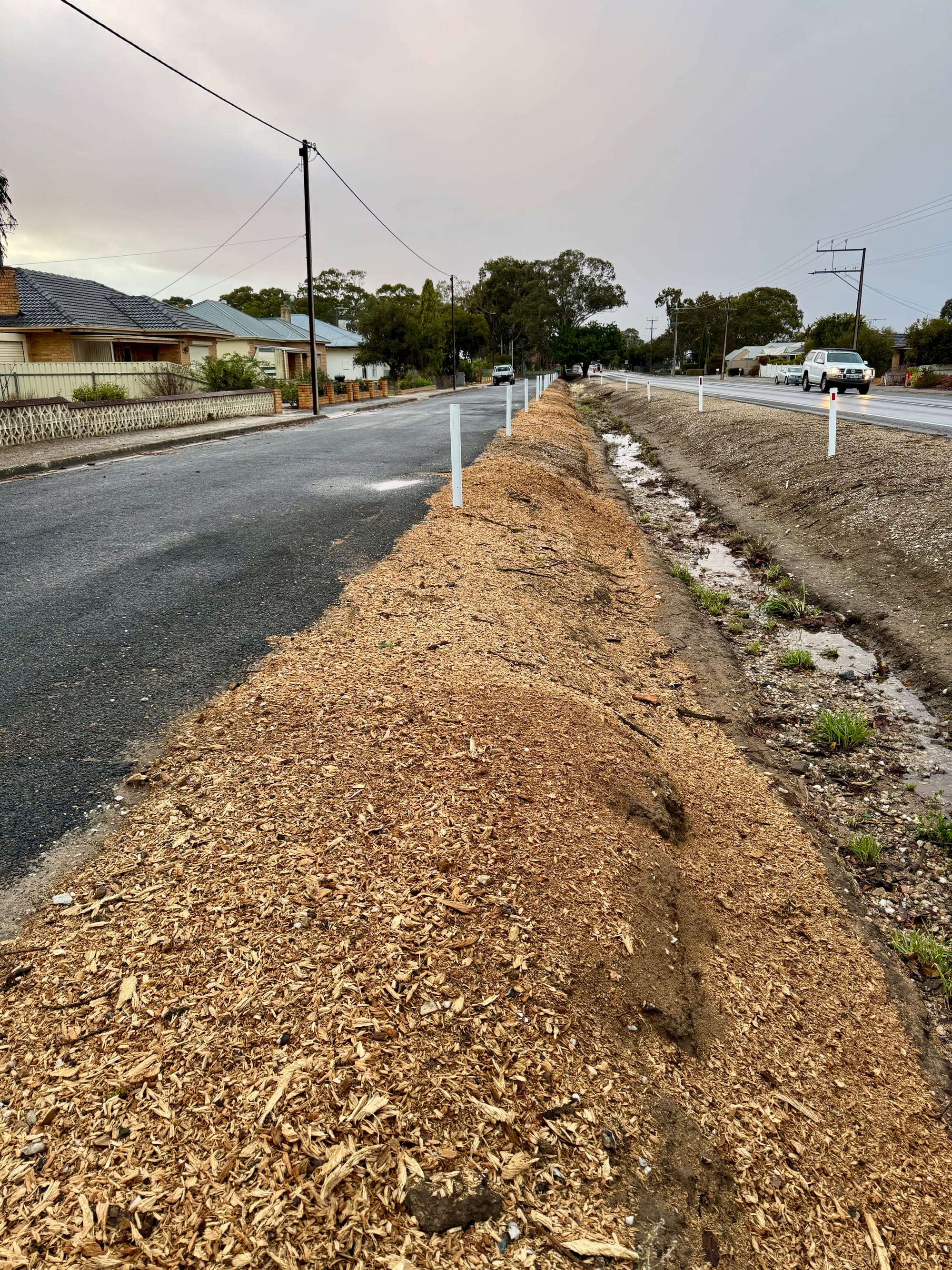 Declining trees removed at Nuriootpa
