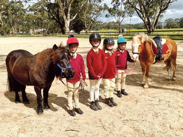 Pony riders pass first hurdle