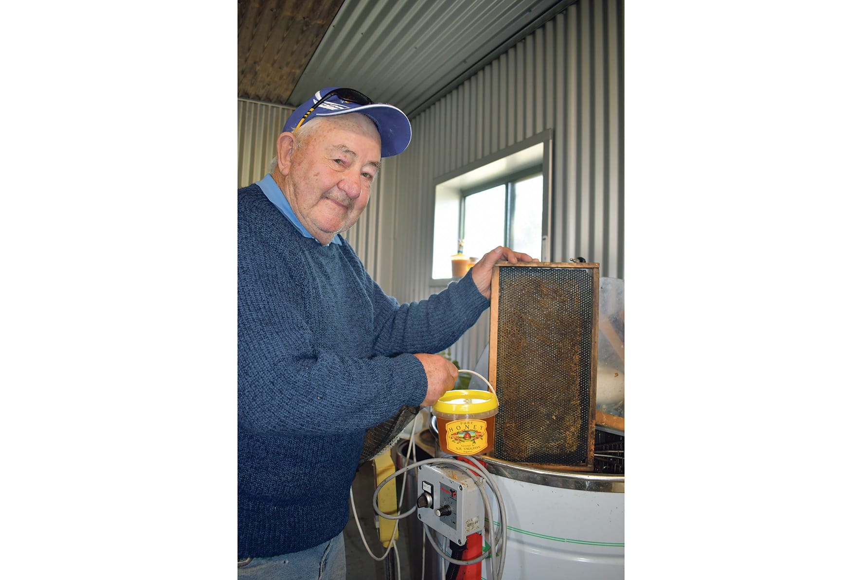The buzz about bees