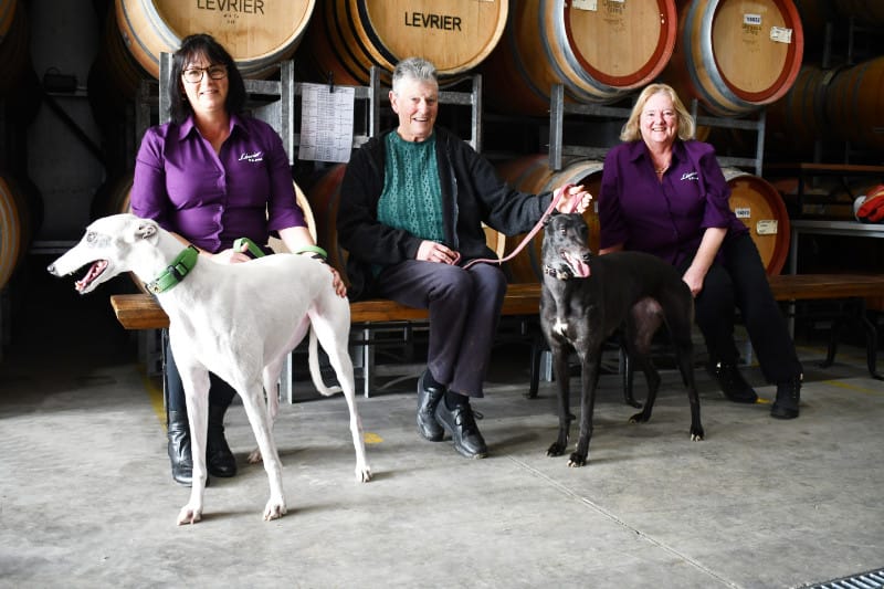 Greyhounds are Hurley women’s best friend