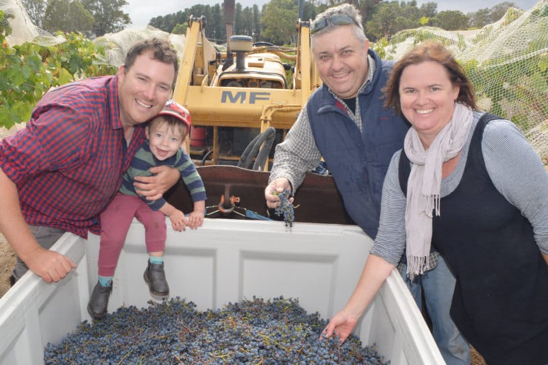 Quality over quantity for 2019 vintage