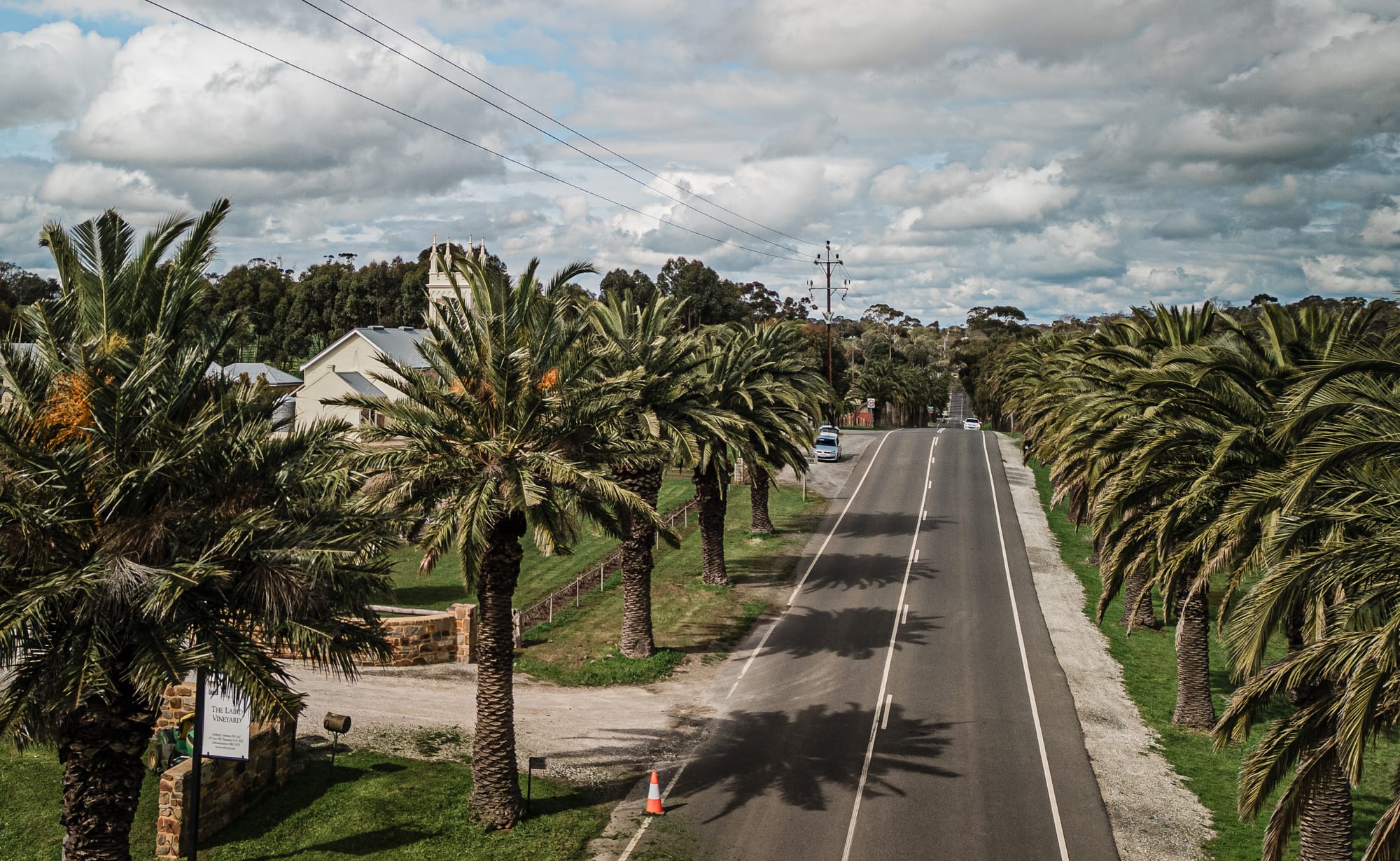 Palms preservation