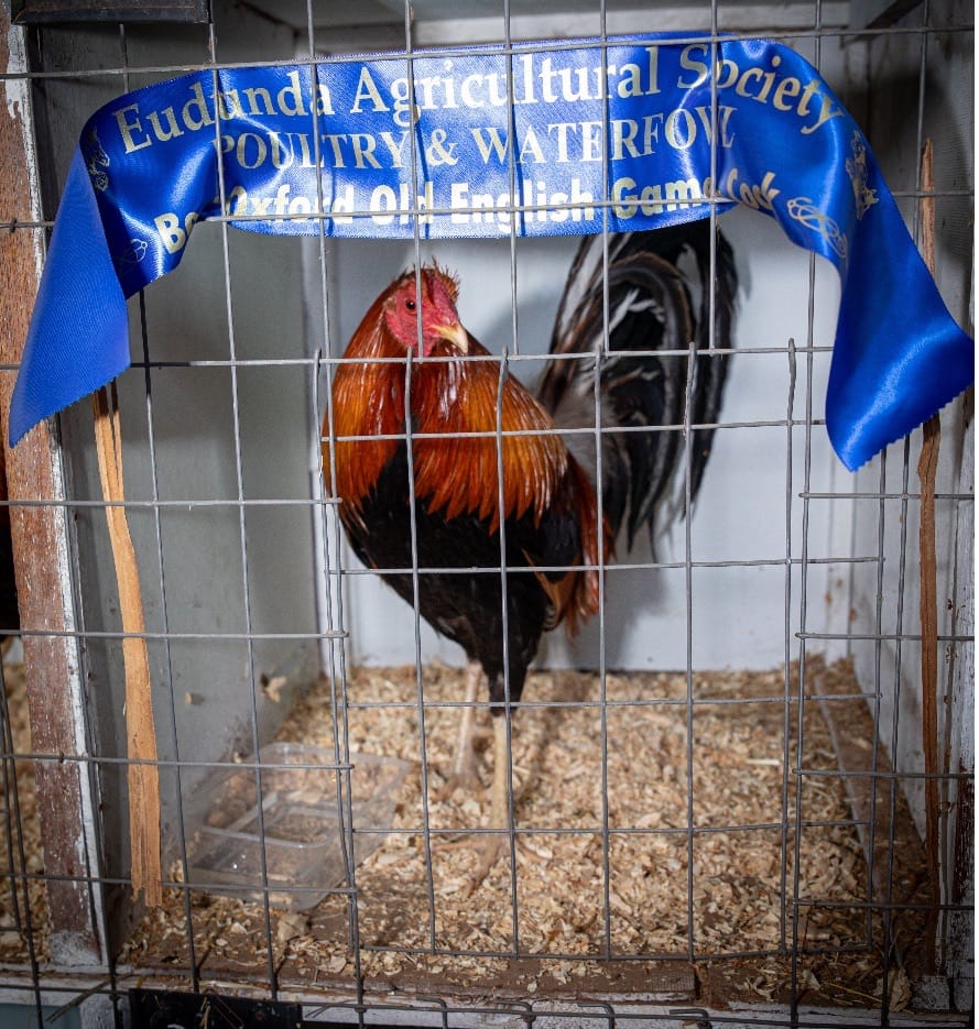 Eudunda Show has something to crow about