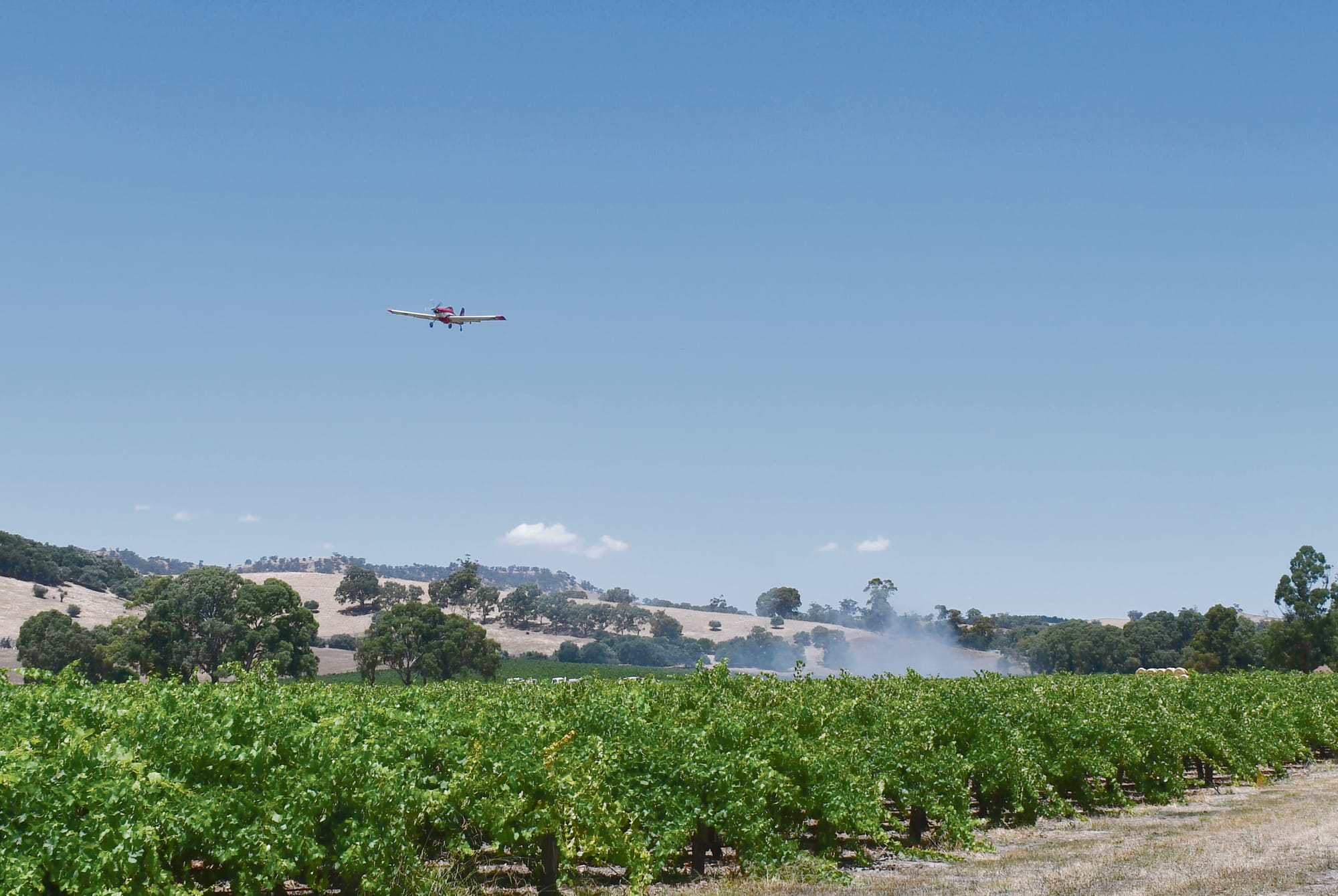 Fire at Lyndoch vineyard