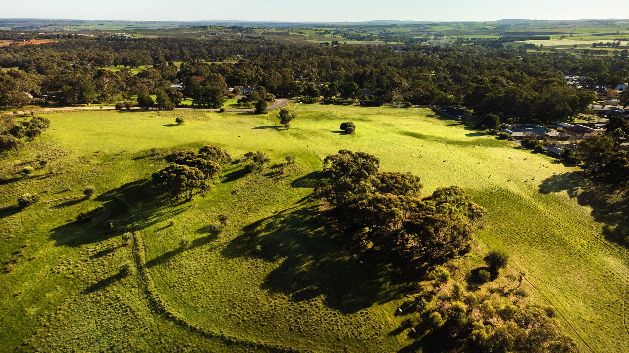 Lyndoch land release is being snapped up