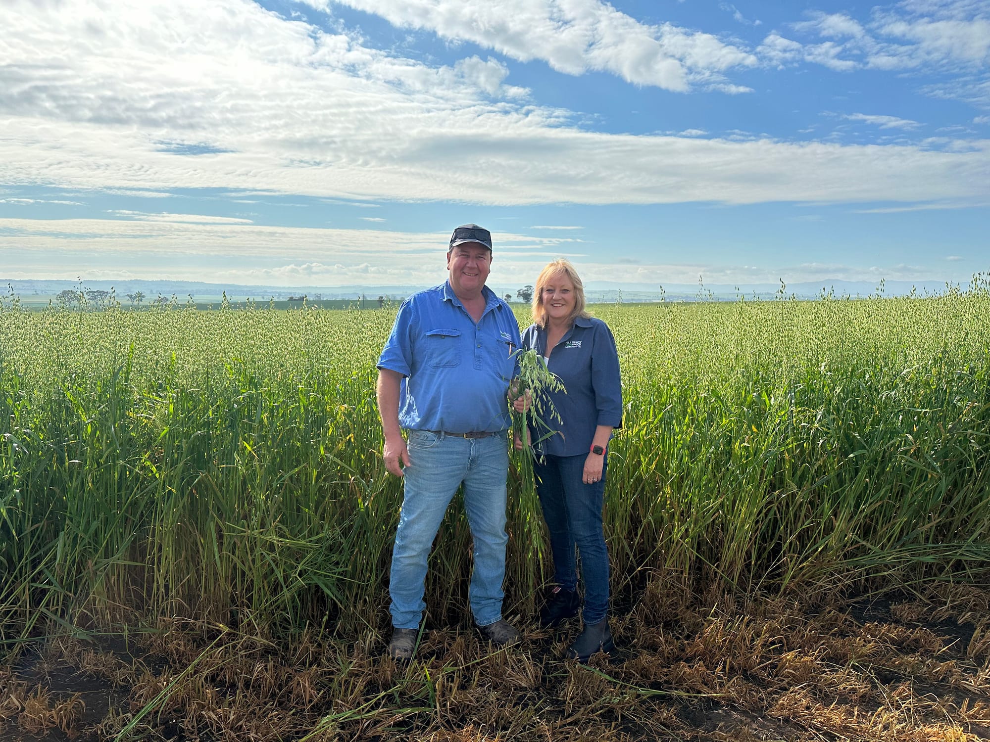 Hopeful harvest for Barossa crop farmers