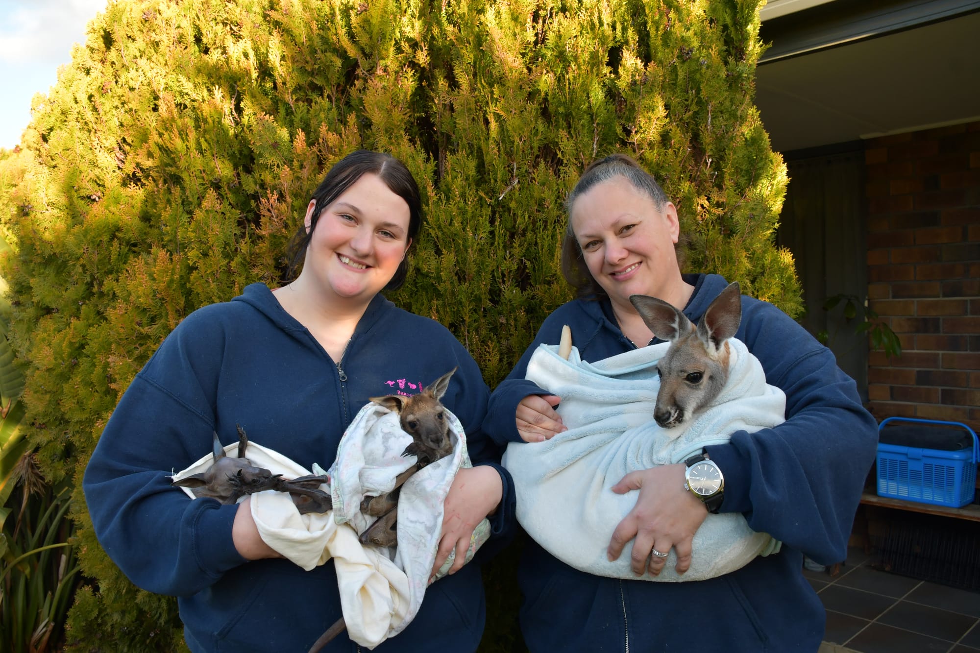 Jumping for joy - Nuriootpa's sanctuary for Australian wildlife