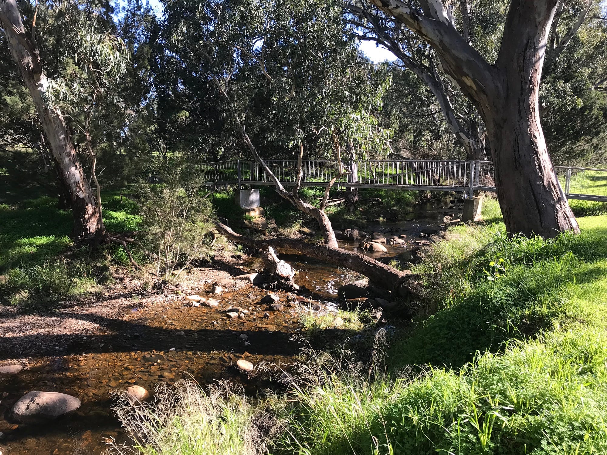 Barossa water decline informs amended plan