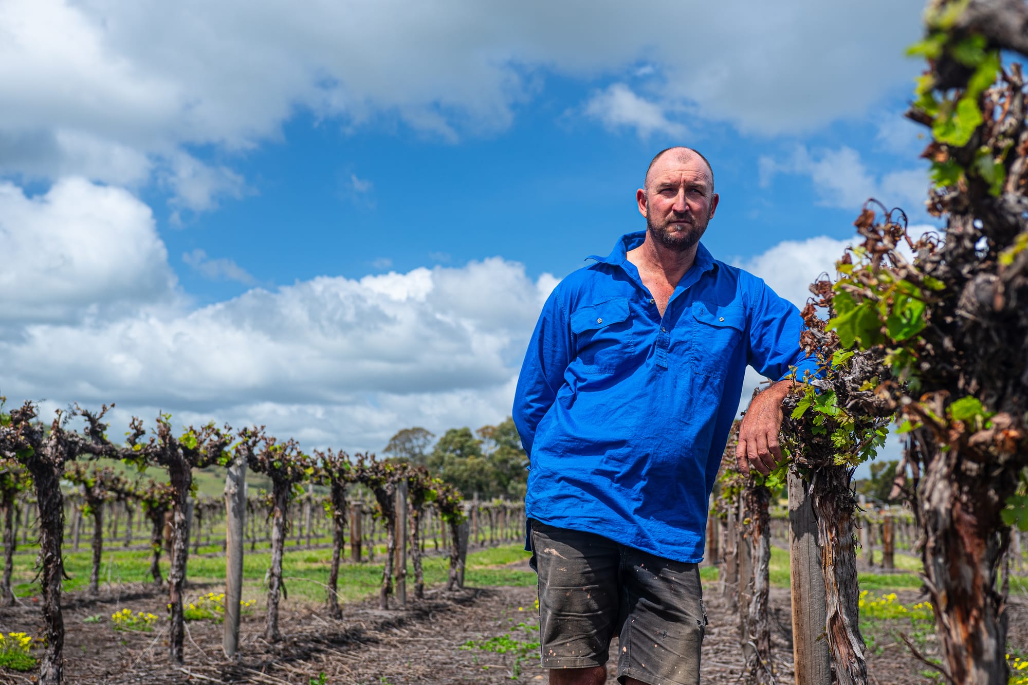 Family legacy in jeopardy