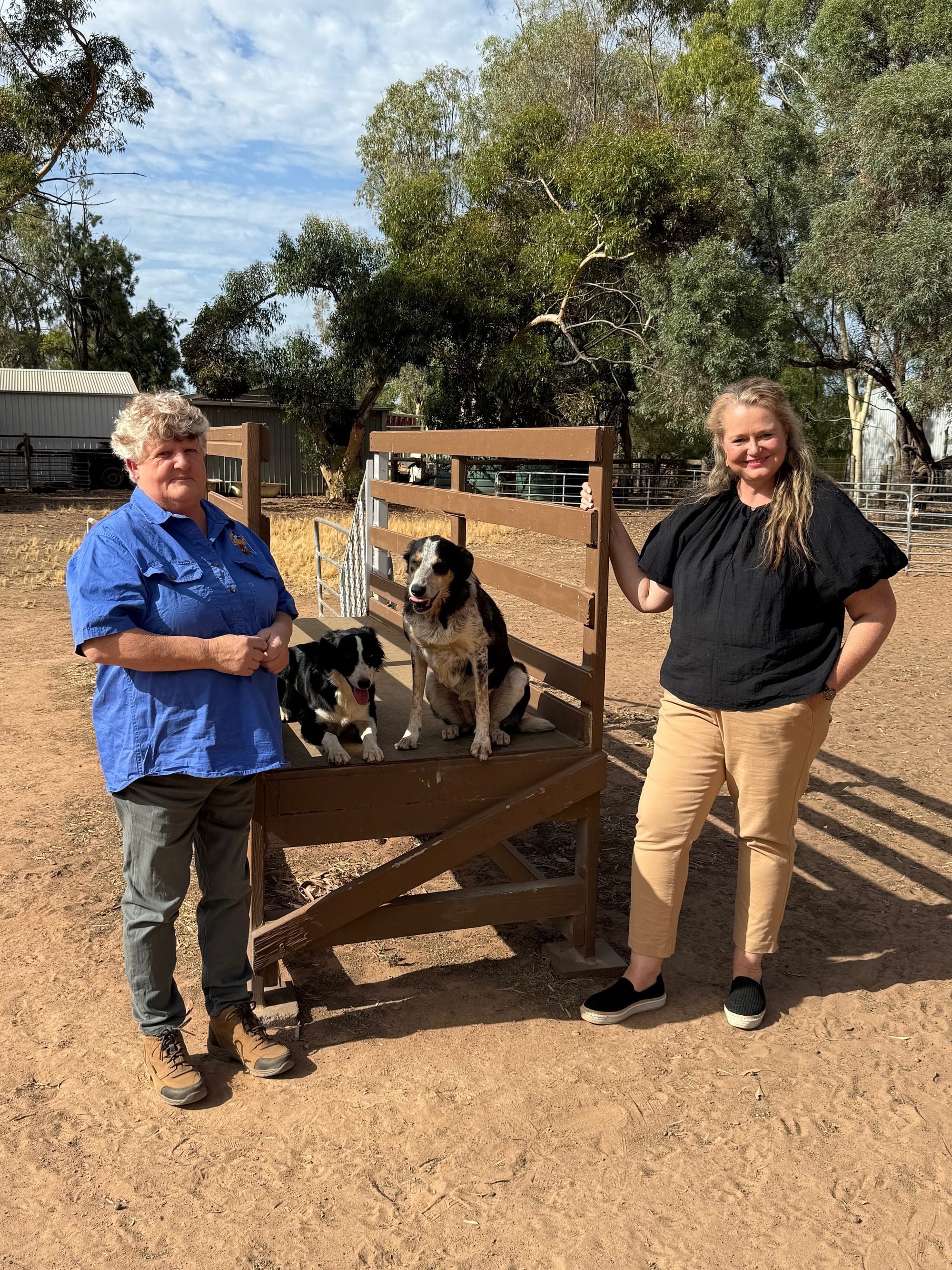 Dog breeders urged to consider proposed regulations
