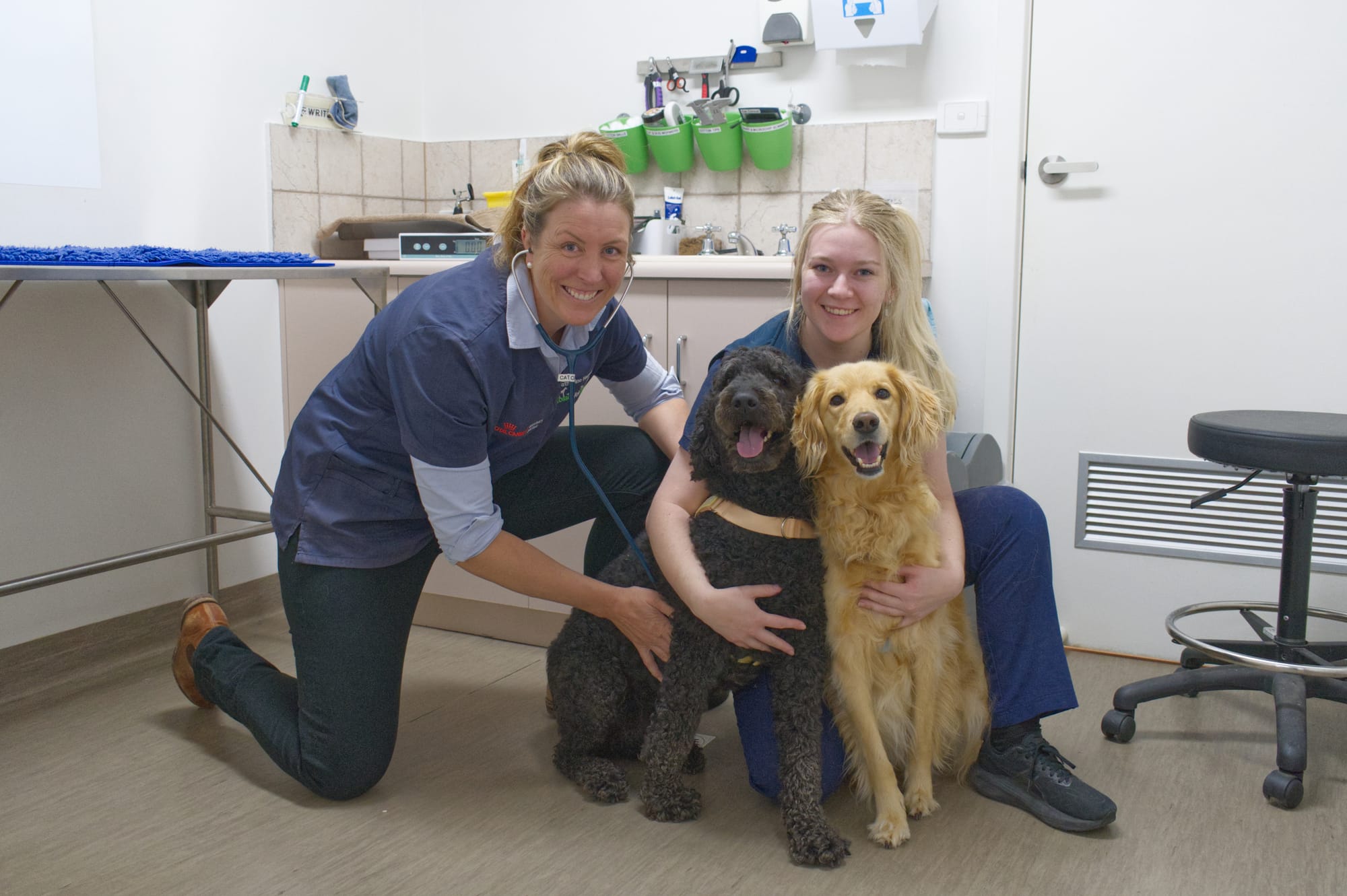 Healthy pets from nose to tail