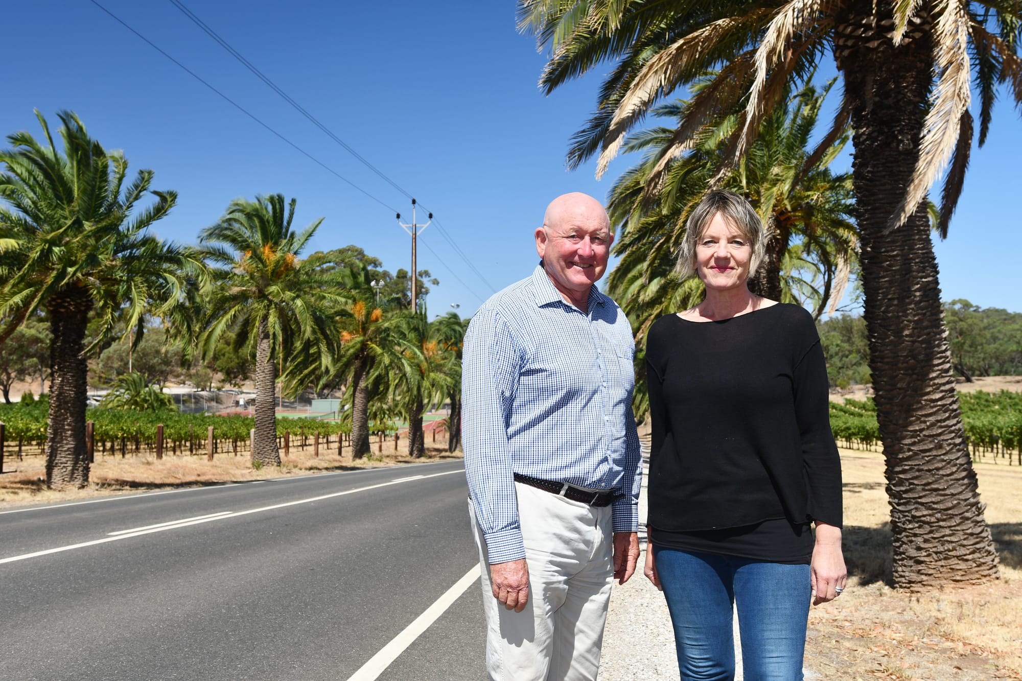 Keep palm and carry on: Light Regional Council seeks government commitments.