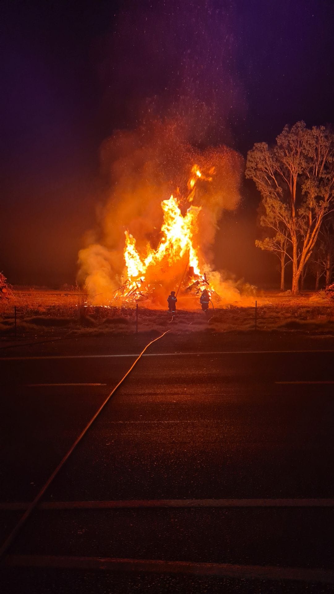 Pine on fire at Tanunda