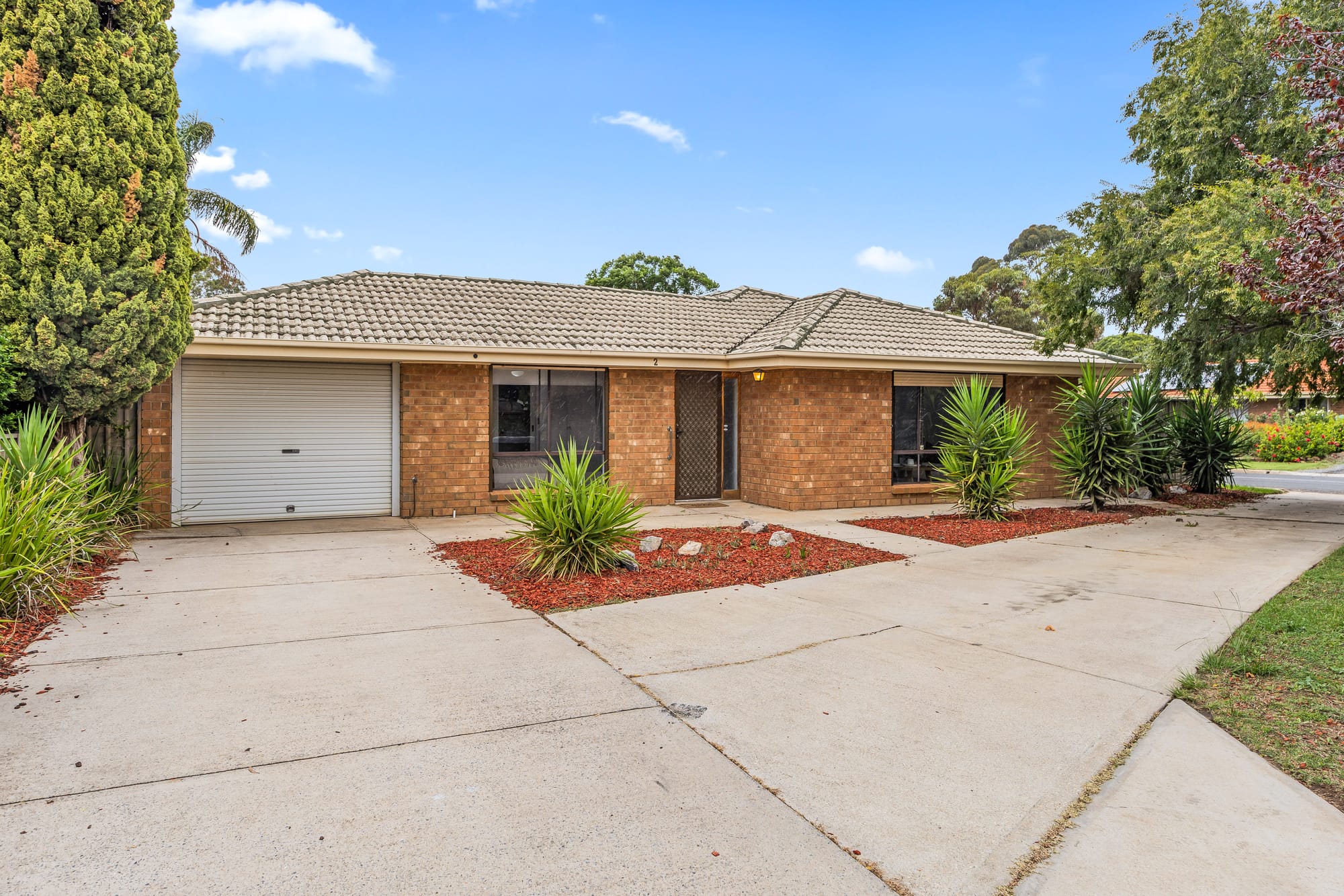 Easy Living on a Corner Allotment