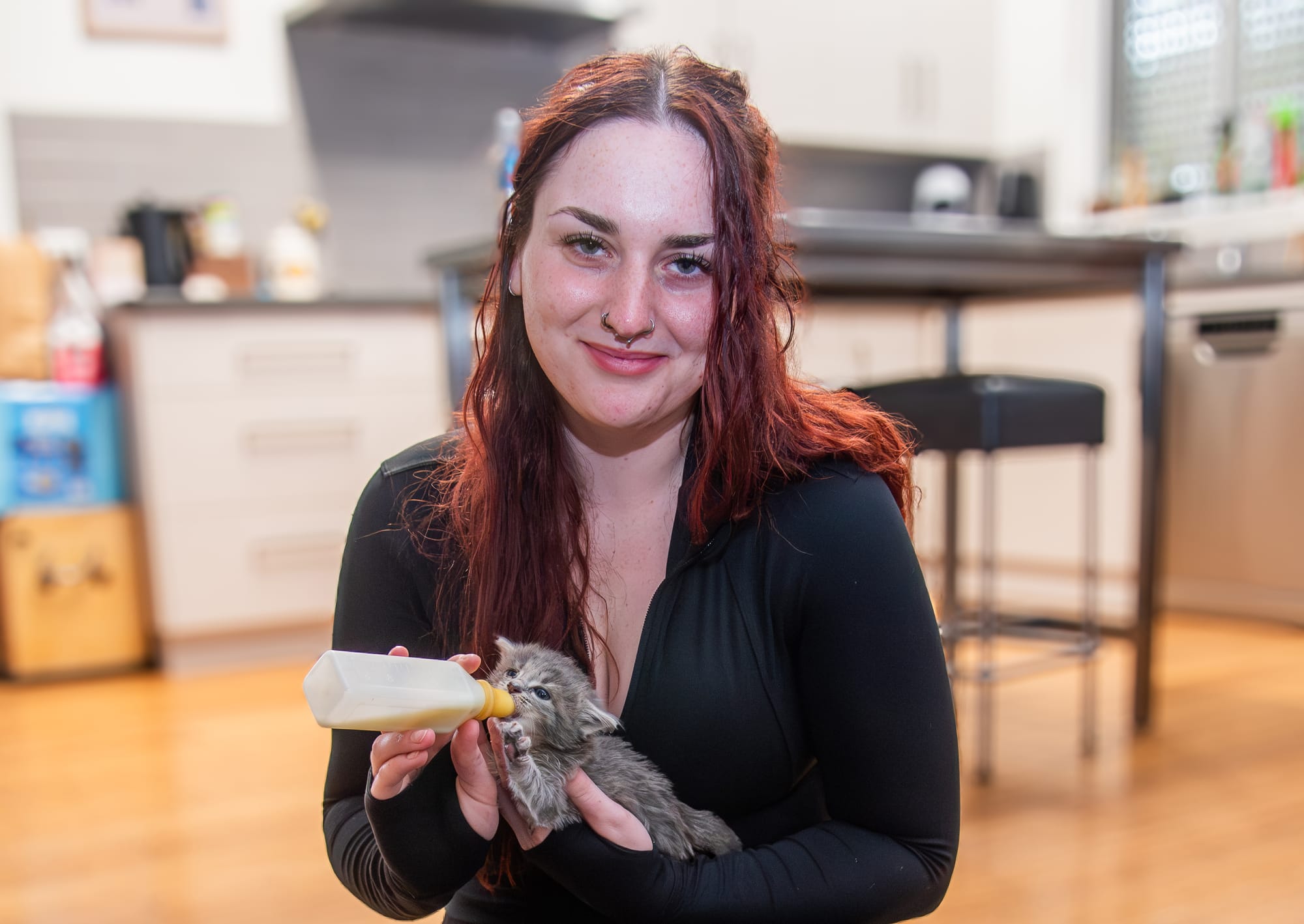 Cat foster carers call for support