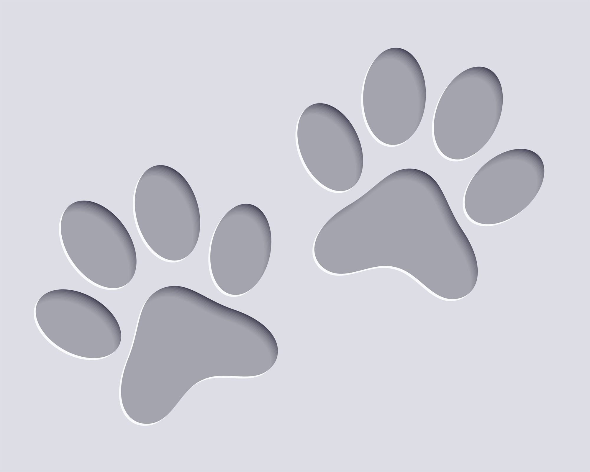 Council work to resolve concerns with cats at Nuriootpa