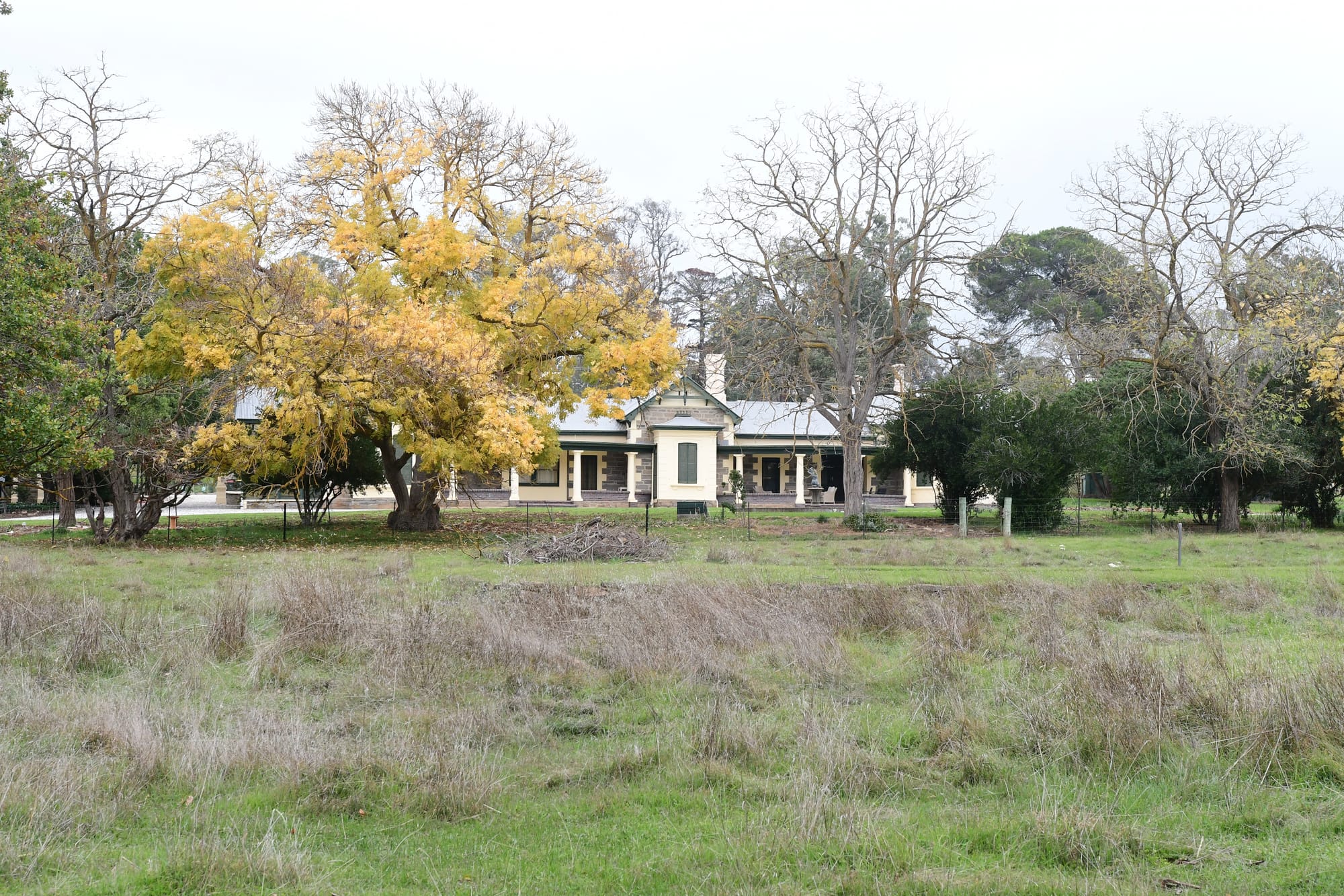 Collingrove revitilisation being enacted by Trust