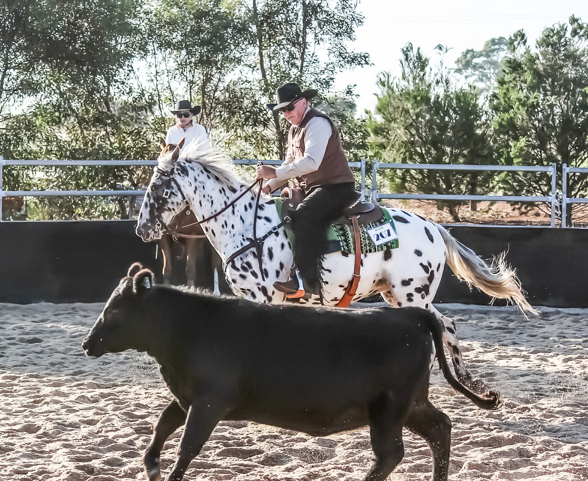 Giddy Up at Templers