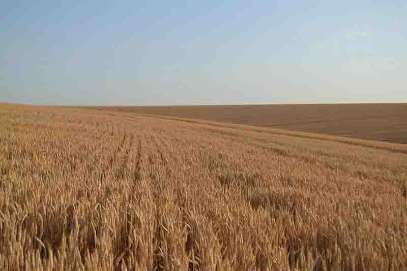 ElectraNet reveals plans for fifth corridor options, east of Eudunda
