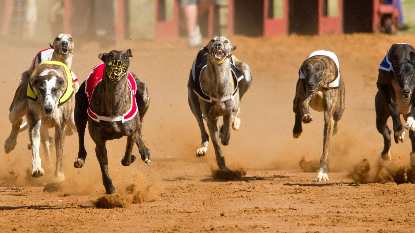 Racing to stay, but scrutiny continues