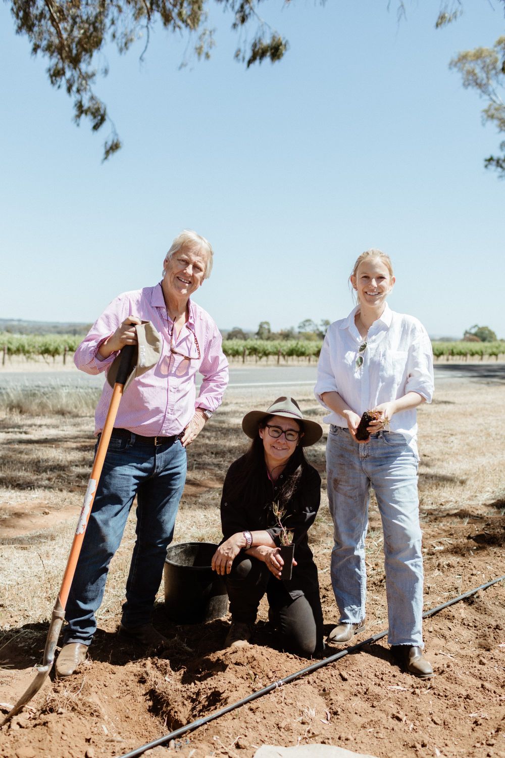 Yalumba celebrates 175 years post image